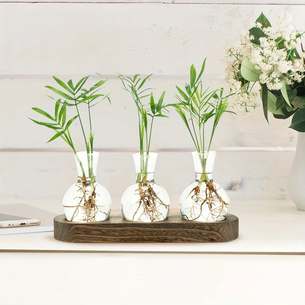 Plant Terrarium Glass Vase Modern Transparent with Wooden Tray, Hydroponics Propagation Station Indoor Desktop Decor