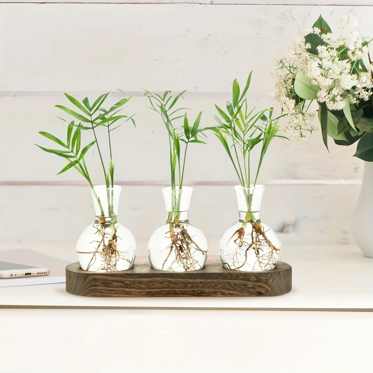 Plant Terrarium Glass Vase Modern Transparent with Wooden Tray, Hydroponics Propagation Station Indoor Desktop Decor