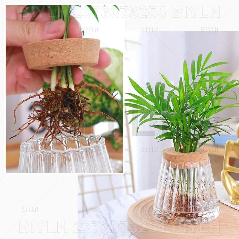 2/1 Pcs Hydroponic Plants Glass Flower Pots Home Decoration Transparent Small Vase Plant Pots With Base Tray Garden Accessories