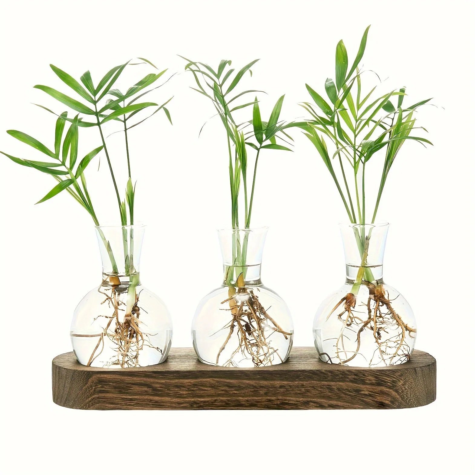 Plant Terrarium Glass Vase Modern Transparent with Wooden Tray, Hydroponics Propagation Station Indoor Desktop Decor