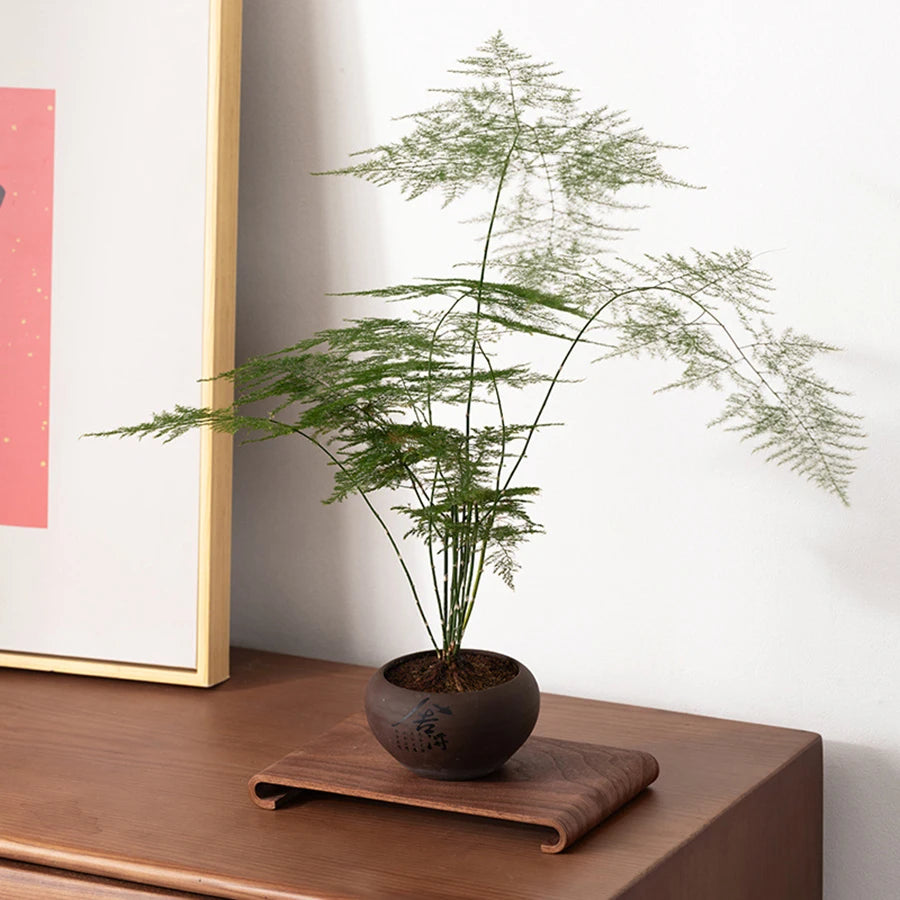 Creative rectangular wooden desktop display rack Hotel Home Coffee Table Decorative Plate Retro Style Heat-resistant Thick Tray