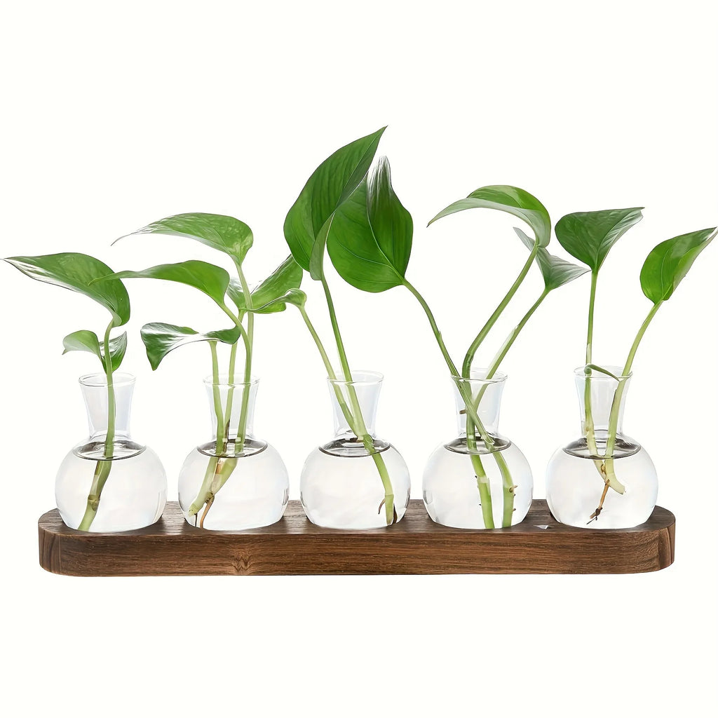 Plant Terrarium Glass Vase Modern Transparent with Wooden Tray, Hydroponics Propagation Station Indoor Desktop Decor