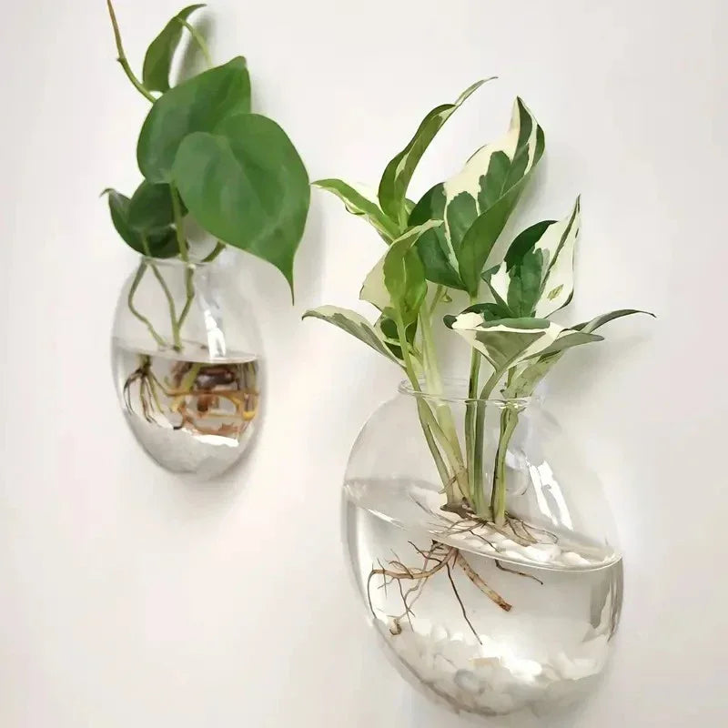 2/4/6 Pack Wall Hanging Glass Terrarium - Self-Watering Hydroponic Planter for Home Office Decor, Handmade Round Crystal Vase