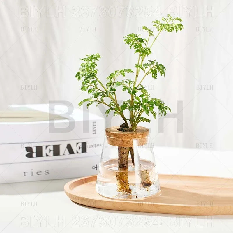 2/1 Pcs Hydroponic Plants Glass Flower Pots Home Decoration Transparent Small Vase Plant Pots With Base Tray Garden Accessories