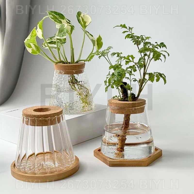 2/1 Pcs Hydroponic Plants Glass Flower Pots Home Decoration Transparent Small Vase Plant Pots With Base Tray Garden Accessories