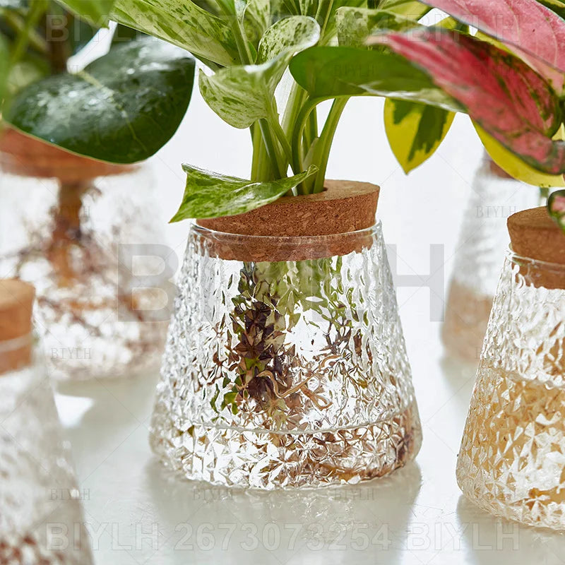 2/1 Pcs Hydroponic Plants Glass Flower Pots Home Decoration Transparent Small Vase Plant Pots With Base Tray Garden Accessories