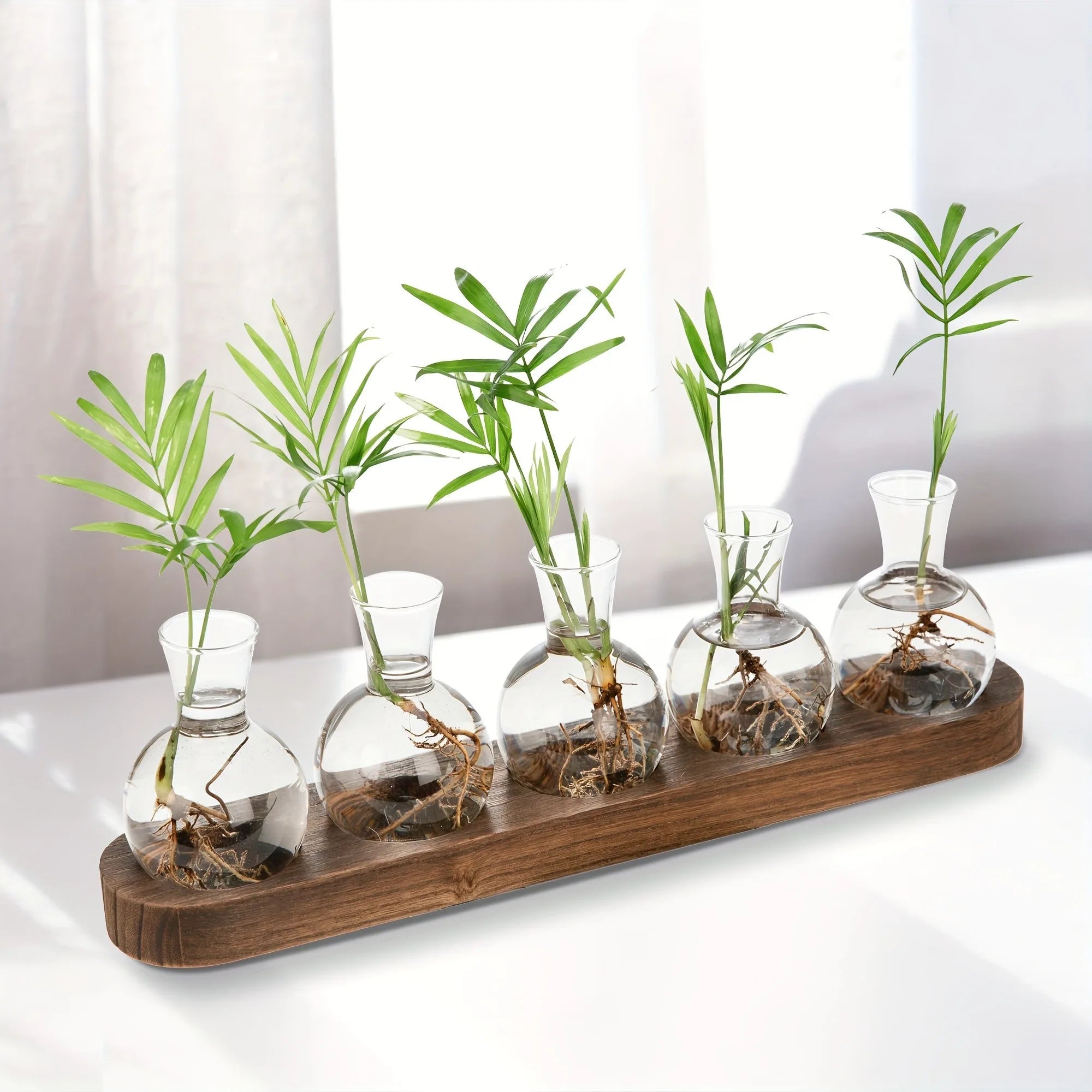 Plant Terrarium Glass Vase Modern Transparent with Wooden Tray, Hydroponics Propagation Station Indoor Desktop Decor