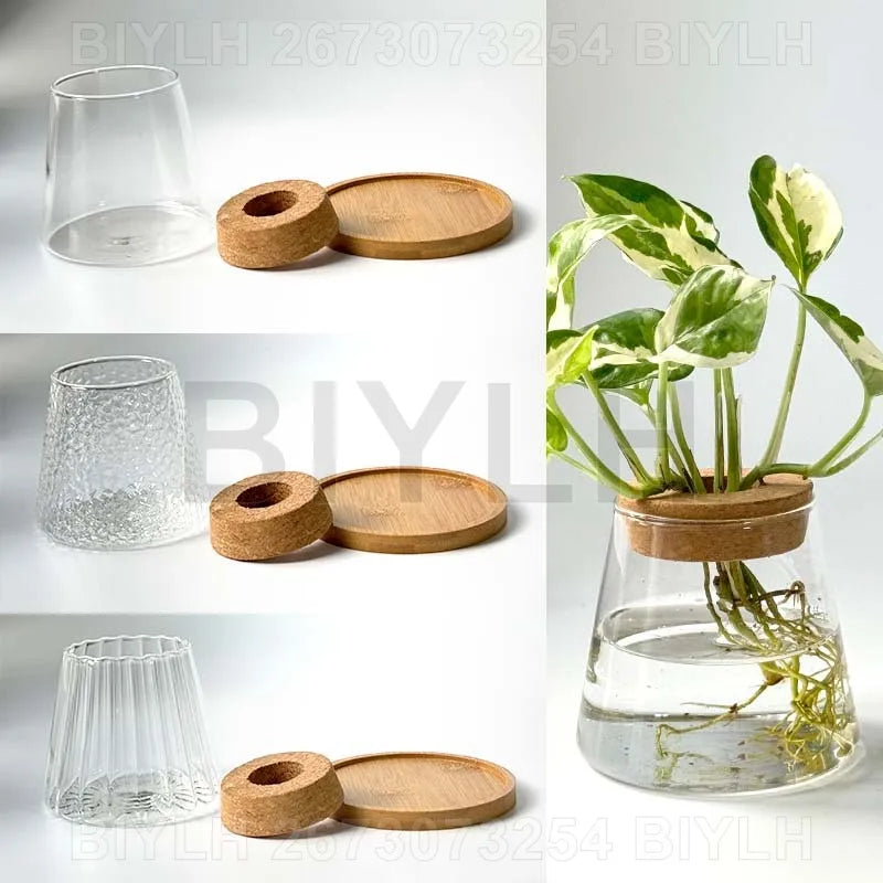 2/1 Pcs Hydroponic Plants Glass Flower Pots Home Decoration Transparent Small Vase Plant Pots With Base Tray Garden Accessories