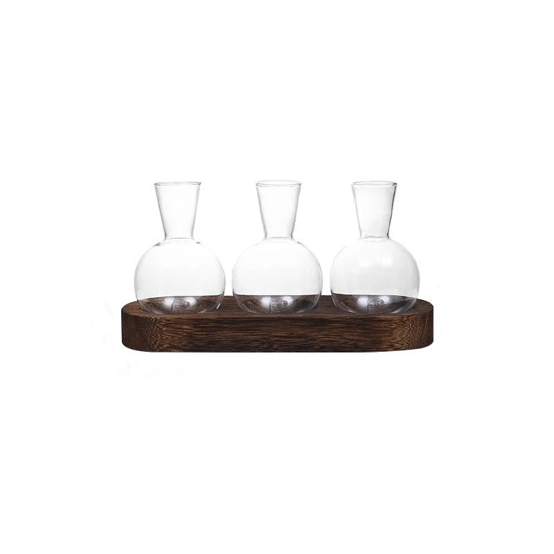 Plant Terrarium Glass Vase Modern Transparent with Wooden Tray, Hydroponics Propagation Station Indoor Desktop Decor
