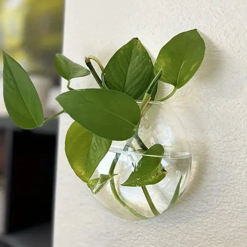 2/4/6 Pack Wall Hanging Glass Terrarium - Self-Watering Hydroponic Planter for Home Office Decor, Handmade Round Crystal Vase
