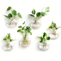 2/4/6 Pack Wall Hanging Glass Terrarium - Self-Watering Hydroponic Planter for Home Office Decor, Handmade Round Crystal Vase