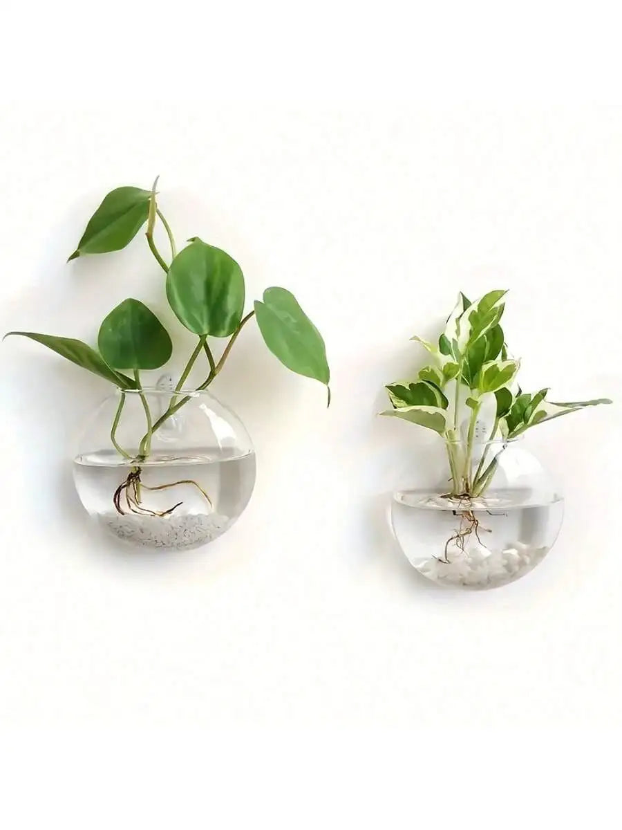2/4/6 Pack Wall Hanging Glass Terrarium - Self-Watering Hydroponic Planter for Home Office Decor, Handmade Round Crystal Vase