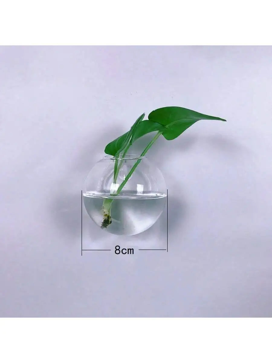 2/4/6 Pack Wall Hanging Glass Terrarium - Self-Watering Hydroponic Planter for Home Office Decor, Handmade Round Crystal Vase