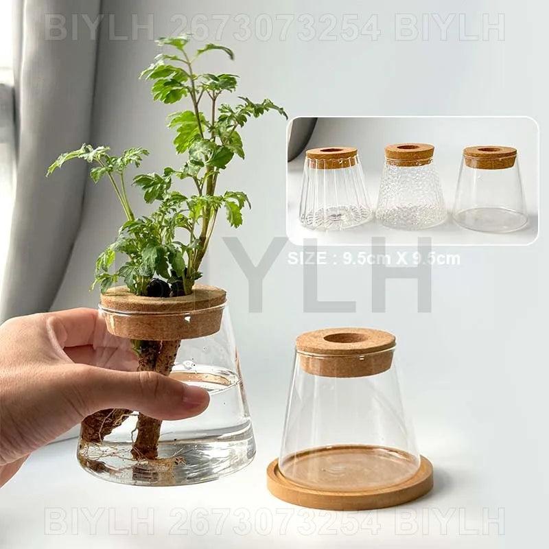 2/1 Pcs Hydroponic Plants Glass Flower Pots Home Decoration Transparent Small Vase Plant Pots With Base Tray Garden Accessories