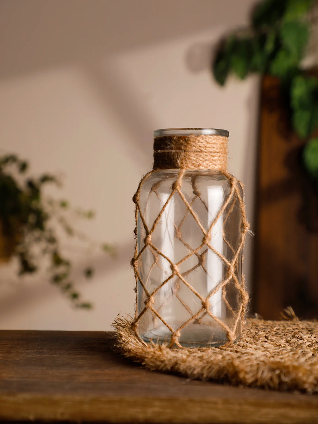 Rustic Hanging Glass Vase Rope Net Dry Flower Glass Vase with Art Hemp Rope  Home Transparent Living Room Decor Table Decoration