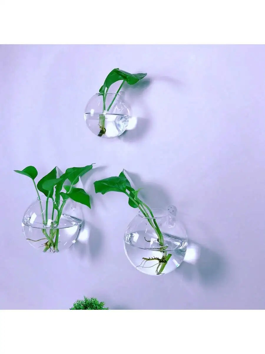 2/4/6 Pack Wall Hanging Glass Terrarium - Self-Watering Hydroponic Planter for Home Office Decor, Handmade Round Crystal Vase