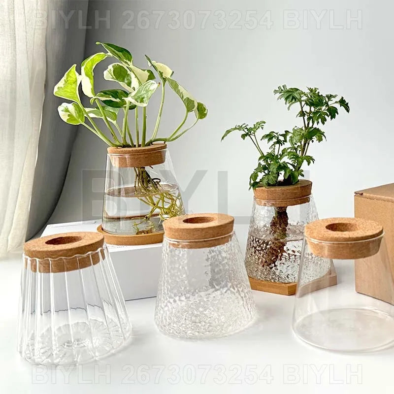 2/1 Pcs Hydroponic Plants Glass Flower Pots Home Decoration Transparent Small Vase Plant Pots With Base Tray Garden Accessories