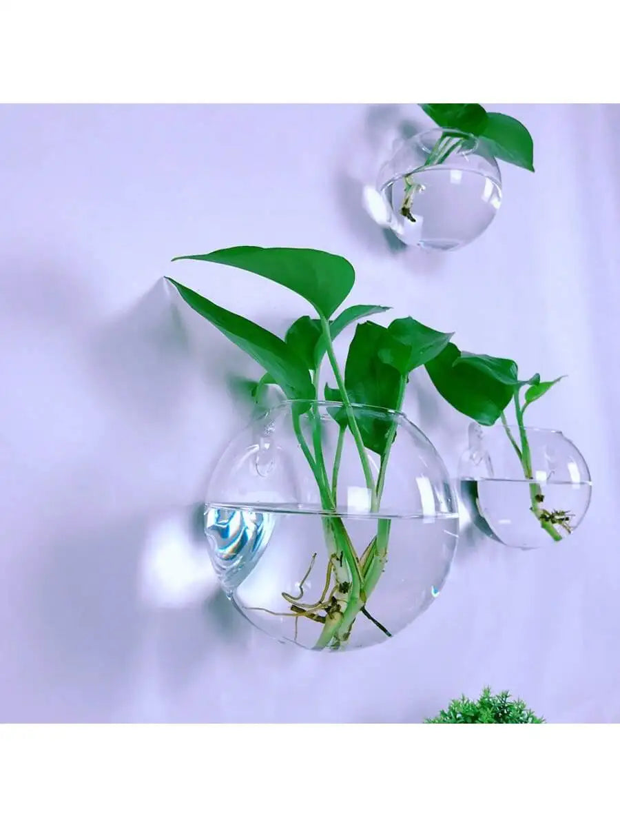 2/4/6 Pack Wall Hanging Glass Terrarium - Self-Watering Hydroponic Planter for Home Office Decor, Handmade Round Crystal Vase