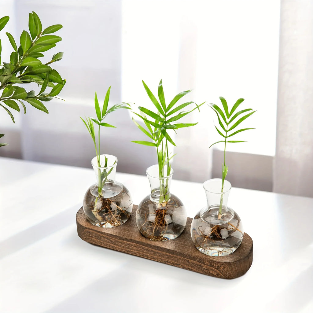 Plant Terrarium Glass Vase Modern Transparent with Wooden Tray, Hydroponics Propagation Station Indoor Desktop Decor