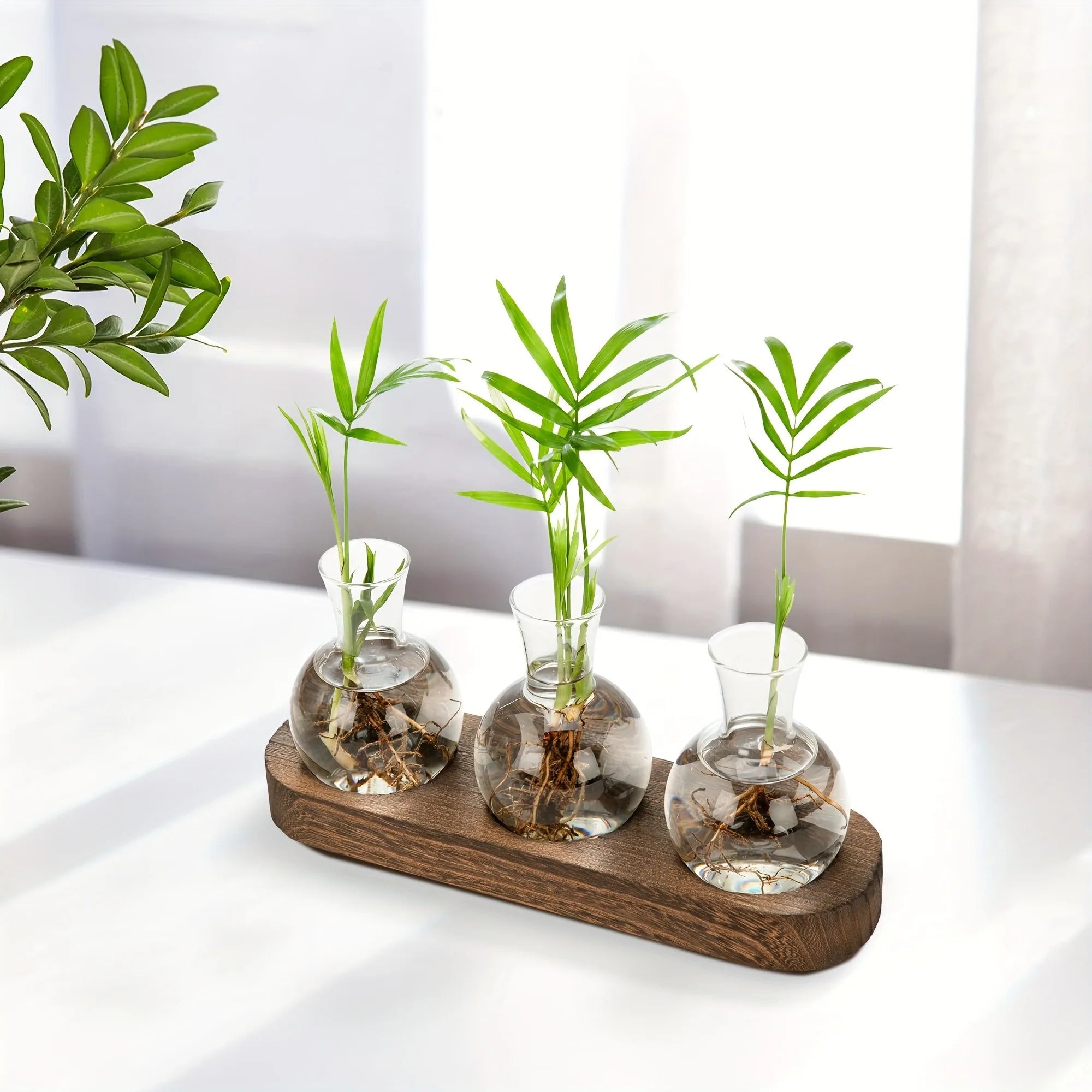 Plant Terrarium Glass Vase Modern Transparent with Wooden Tray, Hydroponics Propagation Station Indoor Desktop Decor